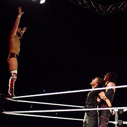 250px-Team Hell No Attack