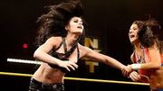 Paige vs ??