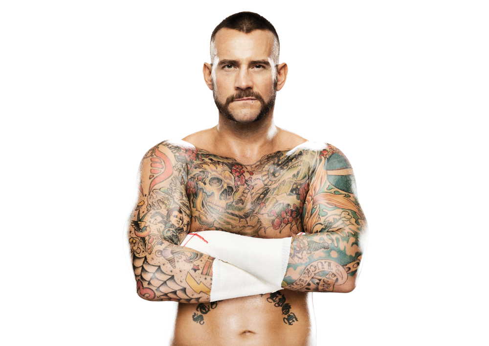 image cm punk pro png wwe 2ks fandom powered by wikia image cm punk pro png wwe 2ks fandom powered by wikia