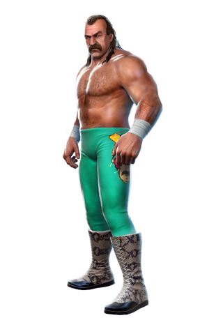 File:Jake Roberts.png