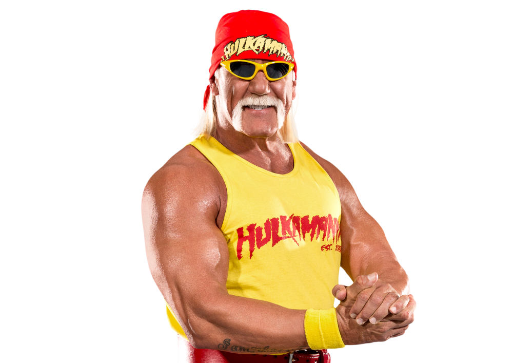 hulk hogan target