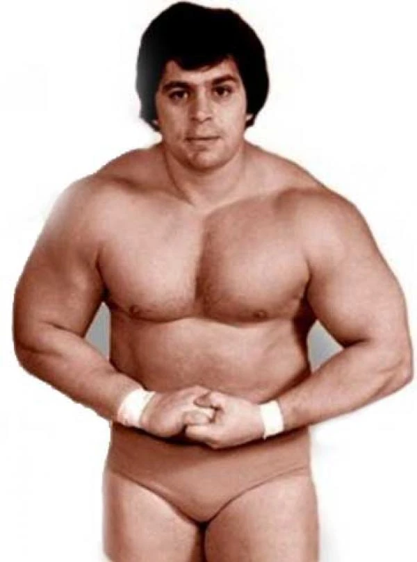 Dino Bravo WWE Wiki FANDOM powered by Wikia