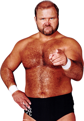wwe arn anderson