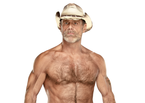 Shawn Michaels Wwe Wiki Fandom