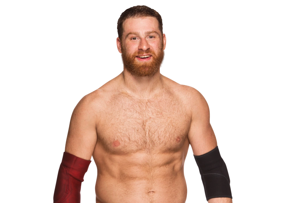 Image Sami Zayn .png WWE Wiki FANDOM powered by Wikia