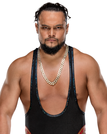 Bo Dallas Wwe Wiki Fandom