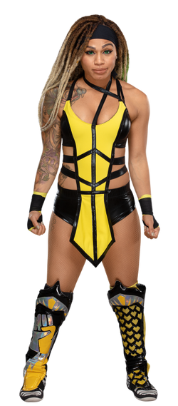 Kayden Carter Wwe Divas Wiki Fandom