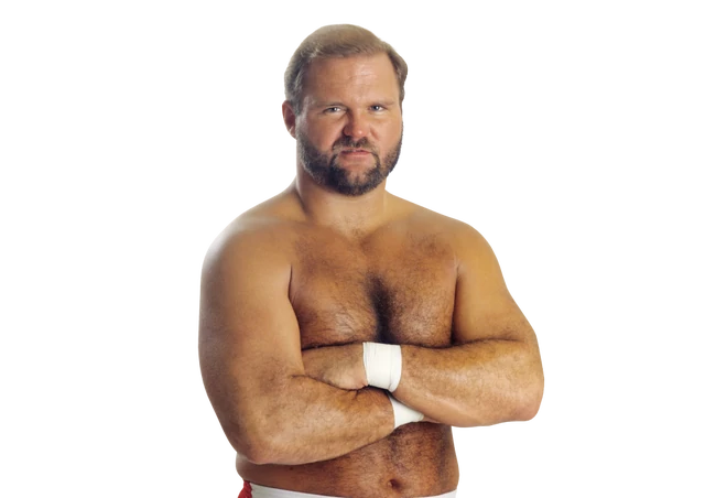 Image - Arn Anderson pro.png | OfficialWWE Wiki | FANDOM powered by Wikia