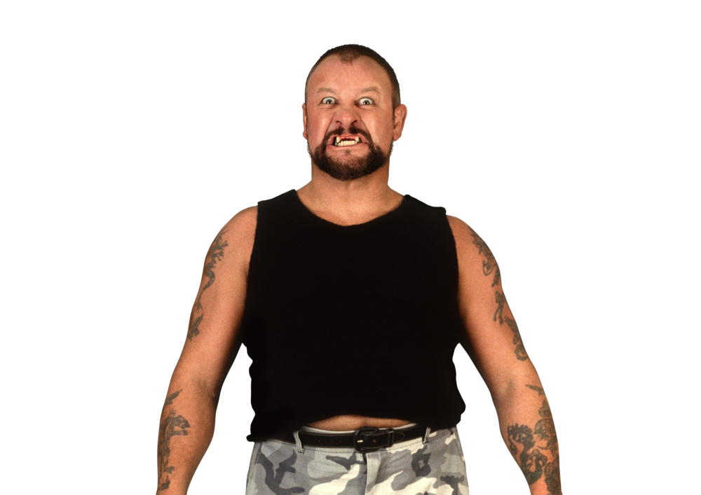 Bushwacker историк. Bushwhacker Luke. The Bushwhackers WWE. Bushwhacker стример. Bushwacker историк кто это.