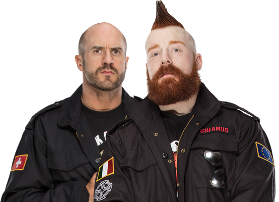 wwe the bar