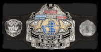 Champion of champions belt