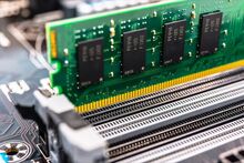 Ram
