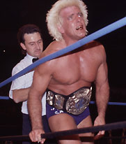 Flair WCW