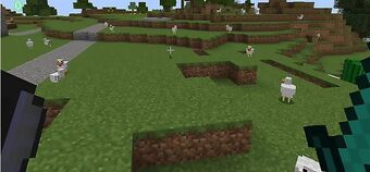 Classic Jeb Door Redstone Wiki Fandom