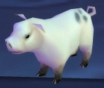 PIGGY