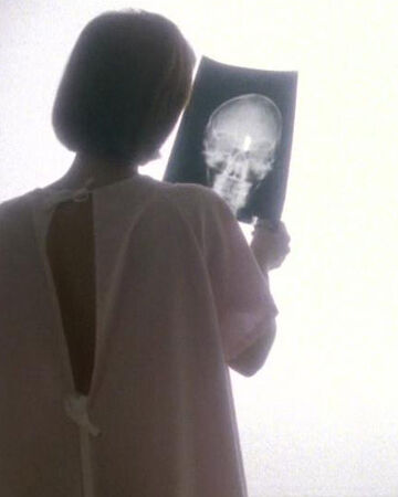 Memento Mori X Files Wiki Fandom