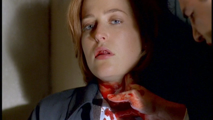 Dana Scully X Files Wiki Fandom