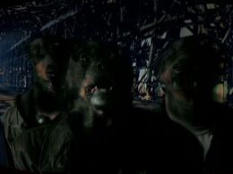 Dogs' heads with human bodies