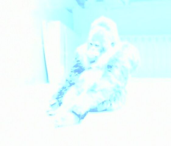 File:Disappeared In Flash Of Light.jpg