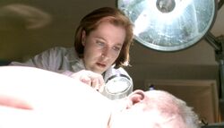 Autopsy