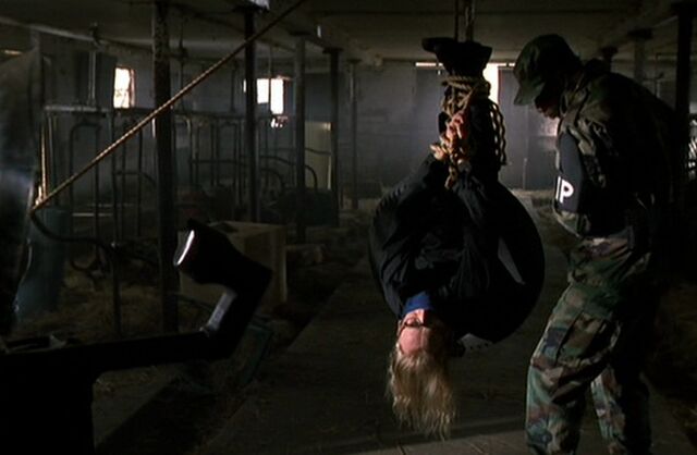 File:LanglyUpsideDown.jpg