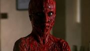 Lisa Holland skinned alive