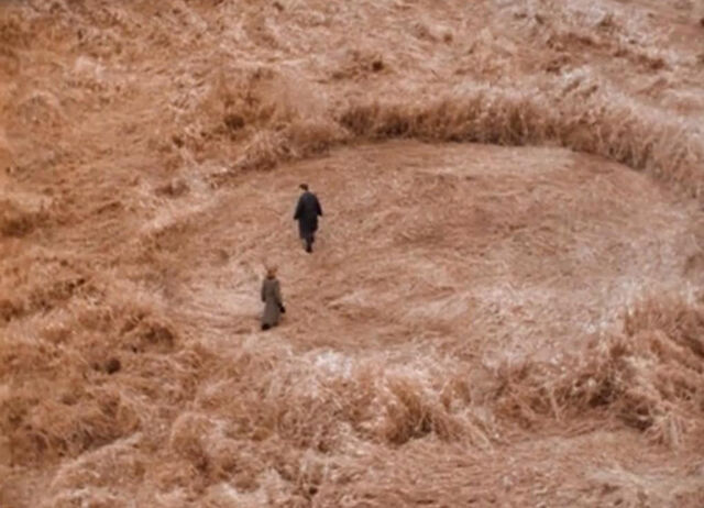 File:Crop Circle.jpg