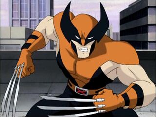 Wolverine (X-Men Evolution)
