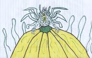 Queen Eve