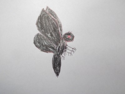 400px-DSCF1367