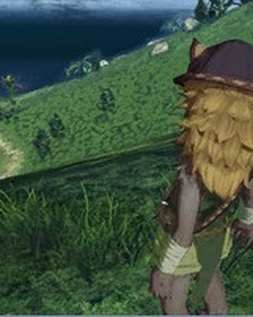 Buoy Can T Swim Xenoblade Wiki Fandom