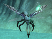 Cave Skeeter