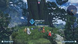 XC2-Treasure-trove
