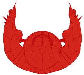 xenonauts alien leader