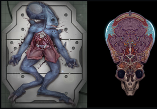 Wraith Autopsy