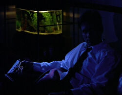 Mulder Aquarium Colonie 2