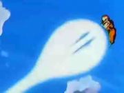 ImagesCAIPU1X2