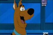 Scoobydoo