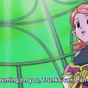 Supreme Kai Of Time Xianb Wiki Fandom