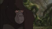 256px-Kerchak-(Tarzan)