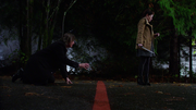 4x12 Gold Belle