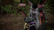 Wx08 Rabbit family