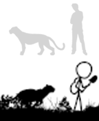 SizeComparisonPanther