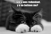 Redundant