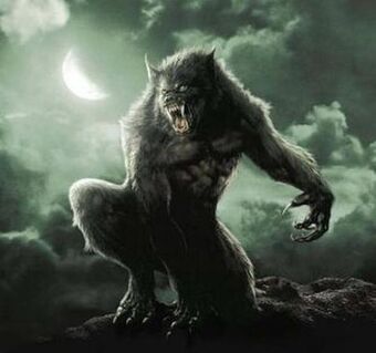 Werewolf X Men Kids Wiki Fandom - roblox werewolf muscle shirt