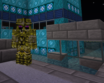 Donator Armor