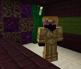 Elite Realmite Armor
