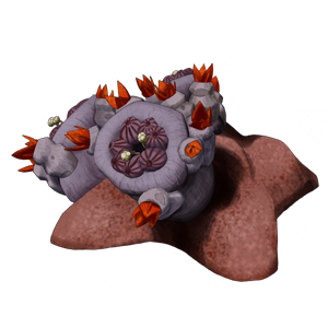 SPC PLANT022 300x300