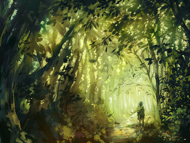 Arden's Forest
