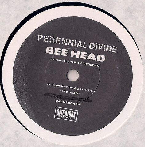 File:Bee Head.jpg